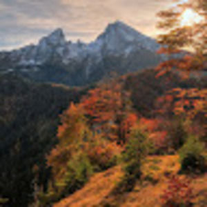 Meet your Posher, Zachary